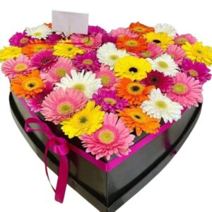 Caja Corazon Gerberas
