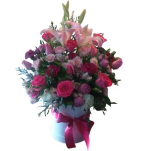 Caja cilindro multiflor