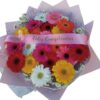 Gerberas Multicolor